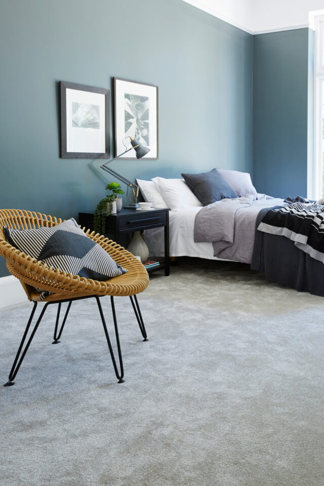 Apollo Comfort   Snipe Portrait